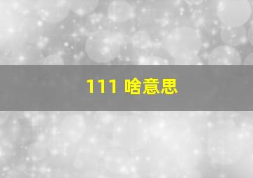 111 啥意思